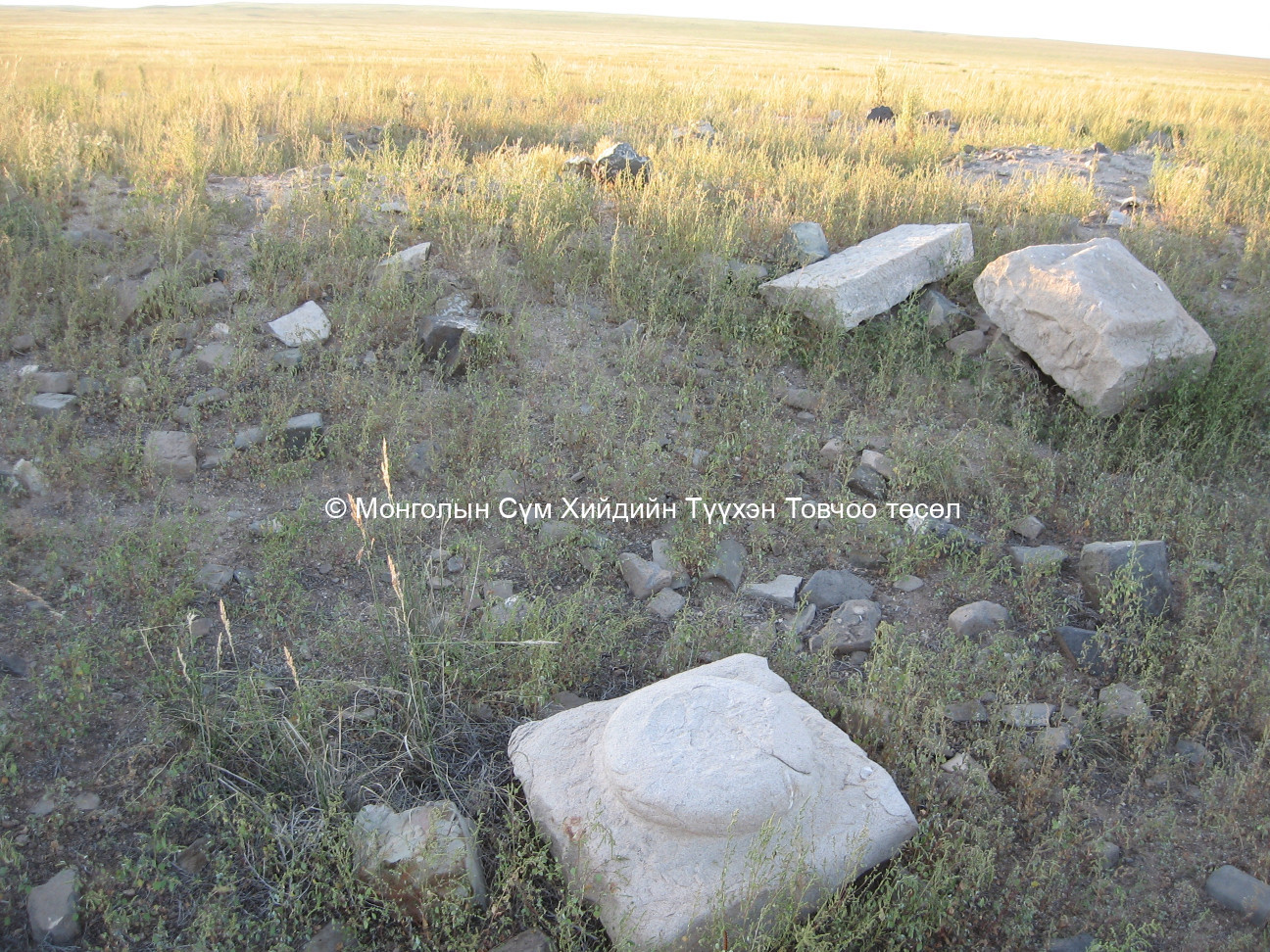 Зүүн-Хойд талаас авсан/Талын модонгийн хийдийн туу